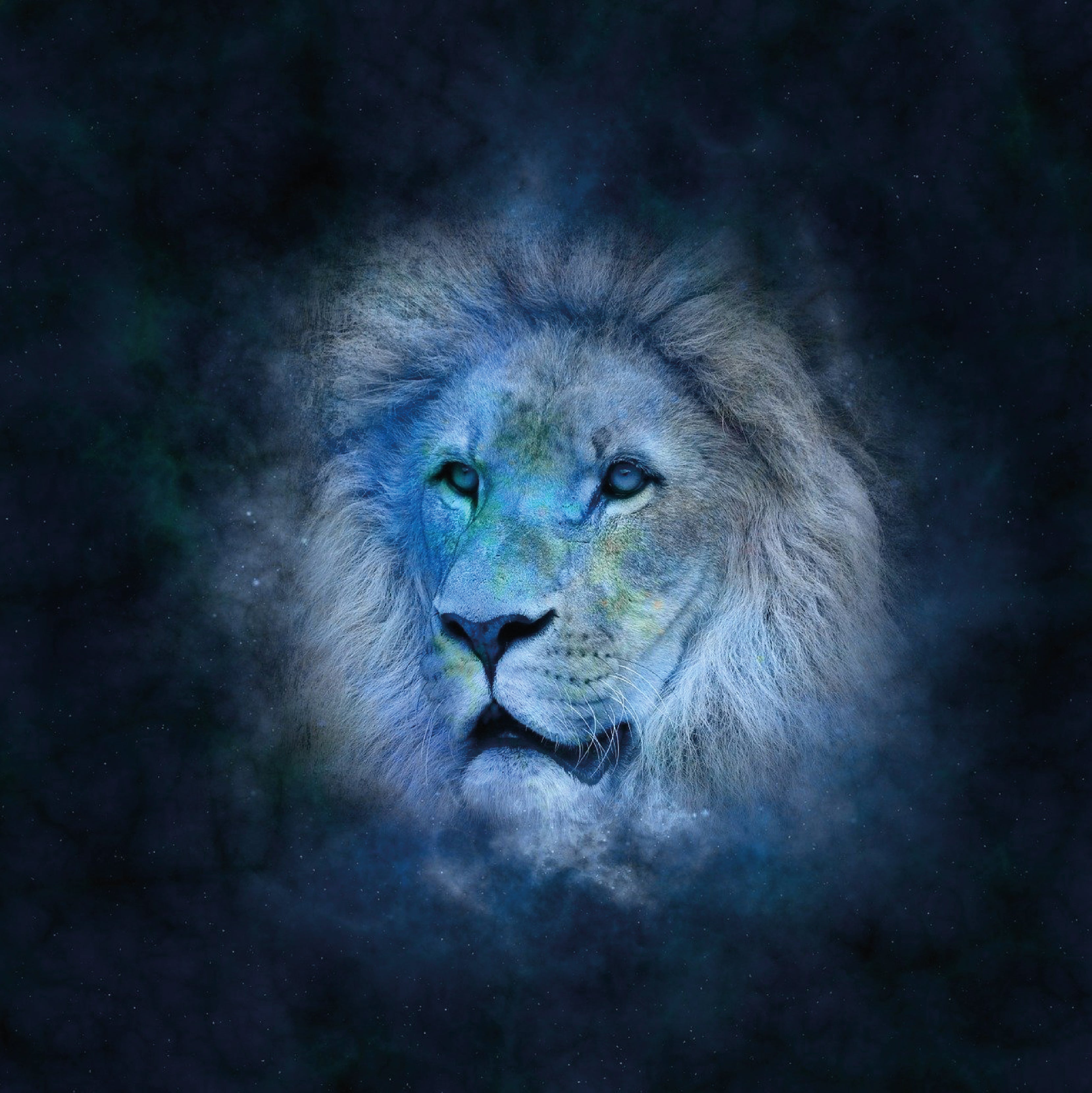 BLUE LION ART