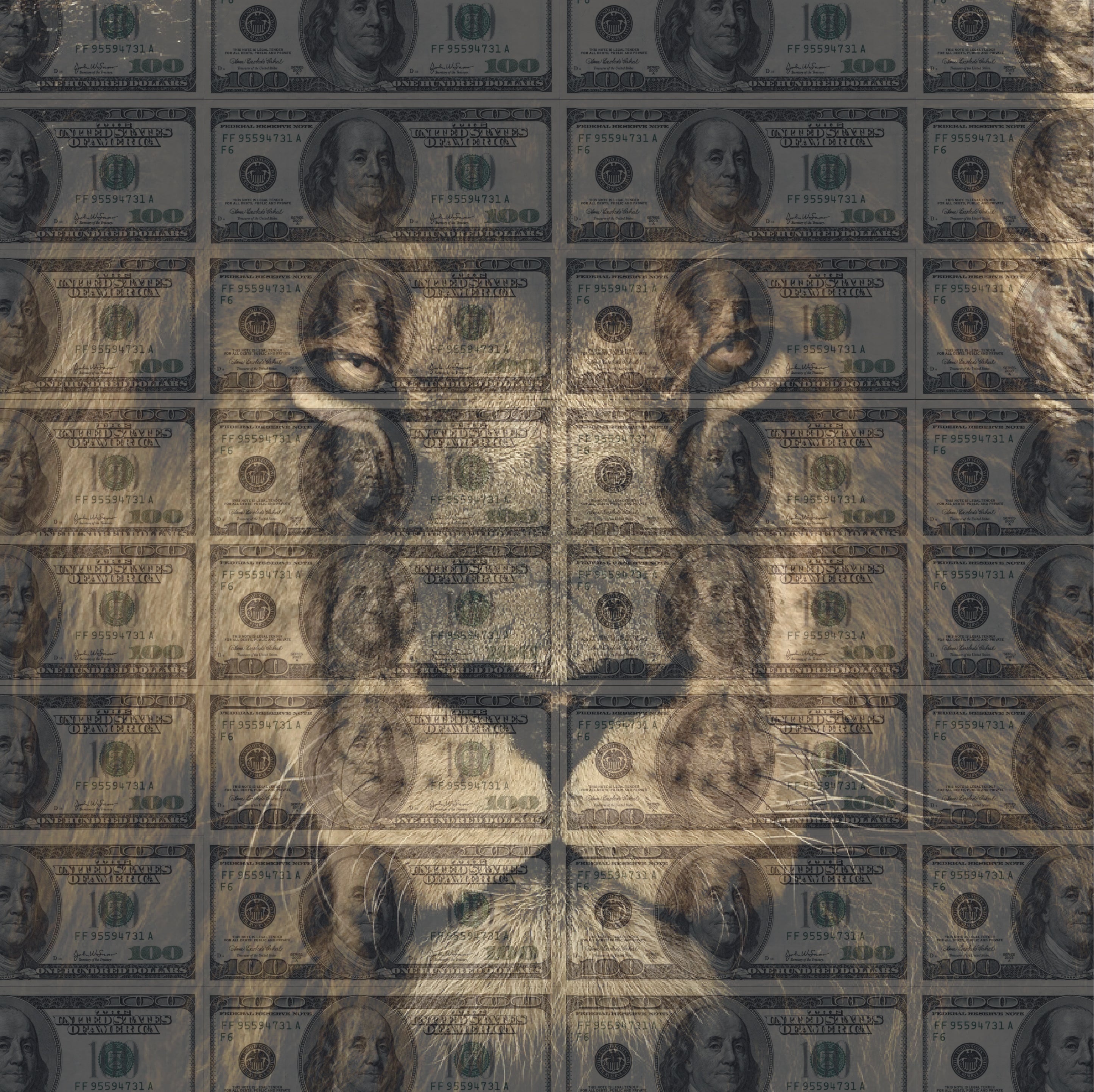 LION MONEY ART