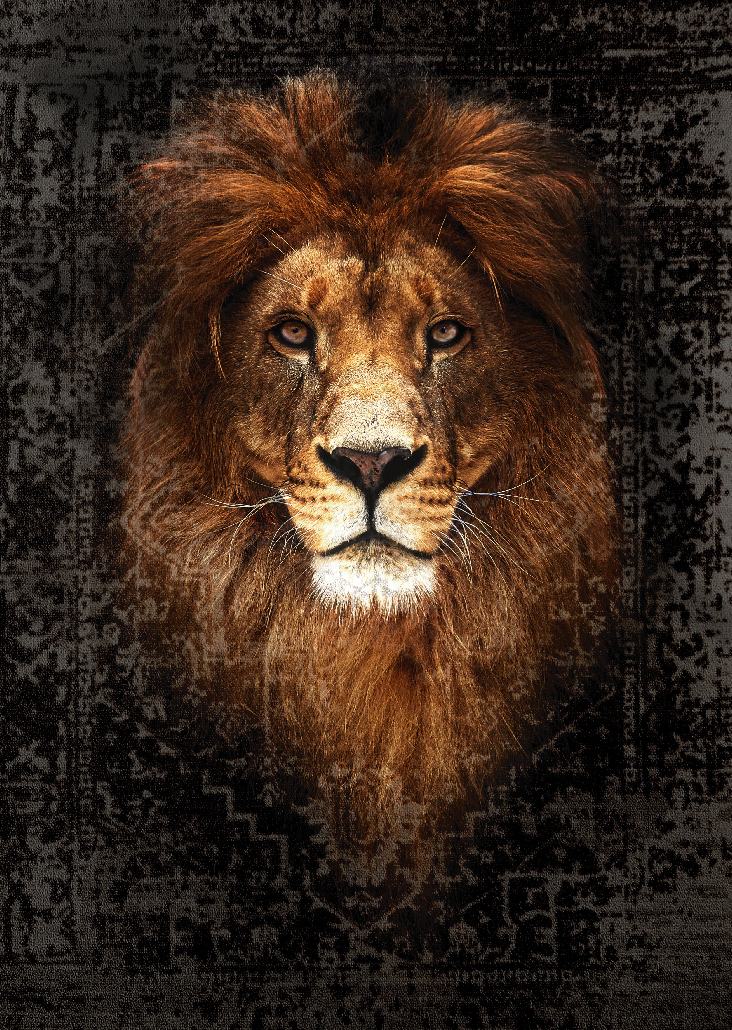 LUXURY LION ART