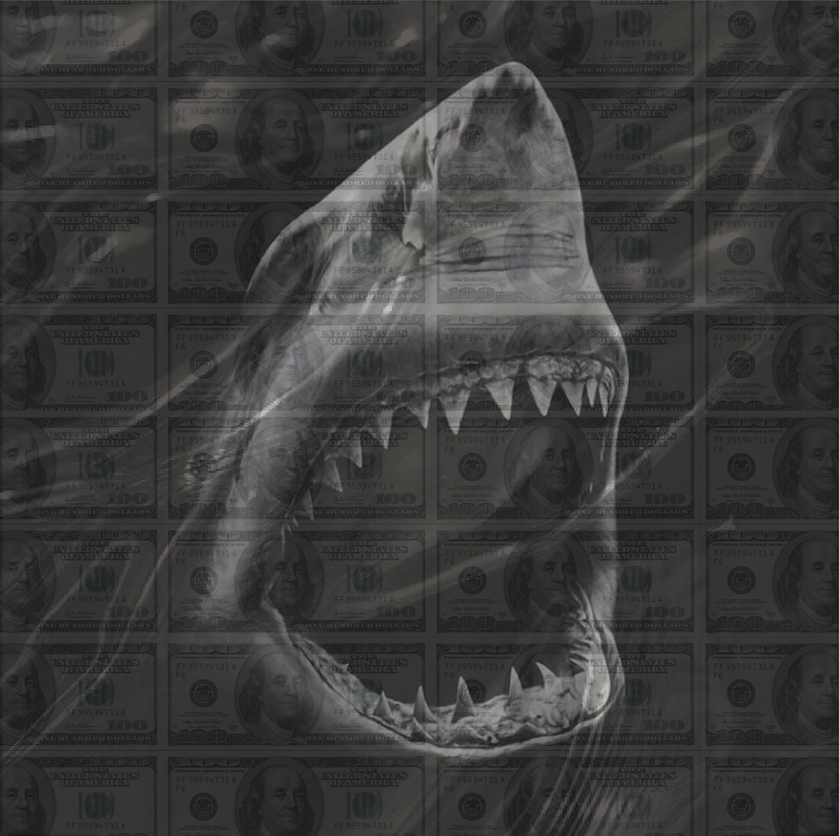 MONEY SHARK | ART